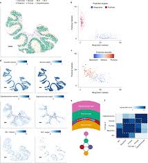 RCTD applied to cell type learning in Slide-seq datasets a, RCTDs... |  Download Scientific Diagram