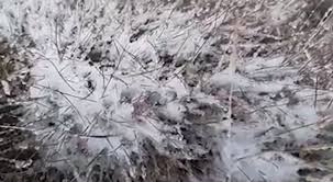 La mare este vânt puternic iar valurile ajung şi la 2 metri înălţime. A Nins La Munte Zapada La Cabana Postavarul Si Pe Transalpina Video Bucuresti Ziare Com