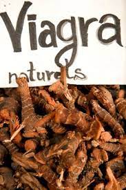 Ce trouble est assez fréquent chez les hommes, surtout à partir. Parties Intimes