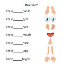 body worksheet vector images over 390