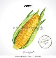 Monash S Portfolio On Shutterstock Organic Recipes Art Class Shutterstock