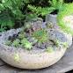 Hypertufa Pots