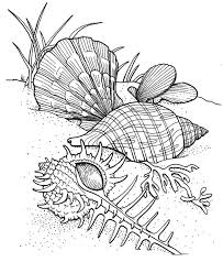 This picture will be easy to color owing to its large size. 480 Best Amphibians Sea Life Coloring Pages Ideas Coloring Pages Coloring Books Animal Coloring Pages