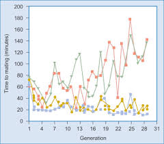 Compare the processes of natural and artificial selection. Artificial Selection An Overview Sciencedirect Topics