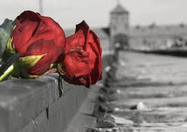 Come spiegare la giornata della memoria ai. Tanti Eventi Per Non Dimenticare La Grande Tragedia Della Shoah