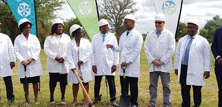 Old mutual investment group logo. Old Mutual To Install 650kw Plant Nehanda Radio