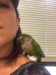 See more of critter care animal hospital las vegas on facebook. Critter Care Animal Hospital 12201 E Arapahoe Rd Ste B16 Centennial Co Veterinarians Mapquest