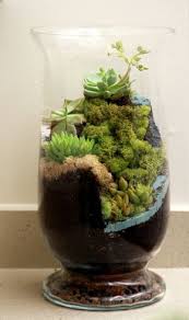 Moss And Succulent Terrarium Succulent Garden Design Succulent Terrarium Plants