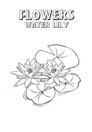 The vibrant green lily pads with frogs sitting on them, popularized by disney's cartoons, have captured our imagination from time immemorial. Lily Pad Picture Coloring Page Lily Pad Drawing Lily Pads Coloring Pages