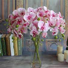 2020 78cm Best Simulation Butterfly Orchid Phalaenopsis Flower Home Decorative Flowers Party Wedding Event Decoration Hot Sale From Love World 2 12 Dhgate Fake Flowers Wedding Flower Arrangements Artificial Flowers