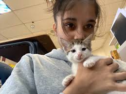 Atlanta professionals networking and socializing