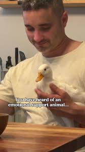 Marshall County Ems Emotional Support Animal Goat