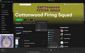How to write an artist bio for spotify. How To Find Your Spotify Artist Link