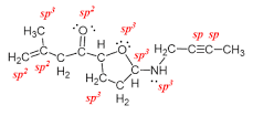 Image result for what is an sp3 hybridized carbon atom