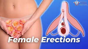 How a Female Erection Works - YouTube
