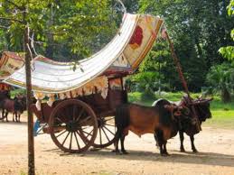 Gambar lukisan berwarna kereta lembu dinaiki seorang wanita yang ditarik seekor lembu dengan latar belakang hutan. Tradisionele Malayse Ossewa Picture Of Melaka Central Melaka District Tripadvisor
