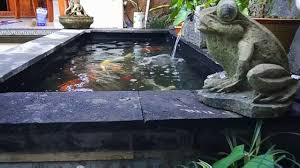 Perihal membuat kolam ikan koi yang bagus, baik dan benar, sesuai dengan keinginan, kamu harus tahu terlebih dahulu, jika memang ada sjeumlah hal yang tak bisa kamu anggap sepele begitu saja, informasi dibawah ini bisa membuat kamu mengantongi sejumlah informasi terkait hal tersebut. Pembuatan Kolam Ikan Koi Sederhana Youtube