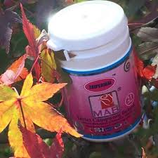 6 thn berubat dgn mcm2 utk. Kedai Bestari Maajun Anggun Bistari Mab