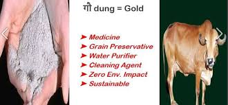 Clean India Without Cow Dung Ash? - Prachodayat