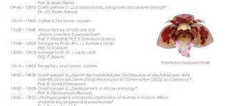 Image result for Xyris lejolyana