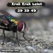 Check spelling or type a new query. Erek Erek Lalat Lengkap Disertai Angka Mistik 2d 3d 4d Kitab Mimpi