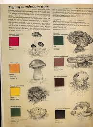 Vintage 80s Threads Magazine April May 1987 No 10 Natural Dye Fabric How To Dye Fabric Eco Dyeing