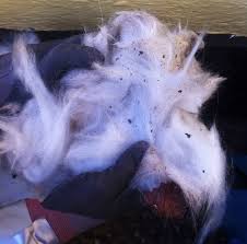 Image result for site:byggahus.se mask