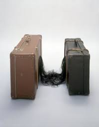 Mona Hatoum Grater Divide Mona Conceptual Art Visual Art