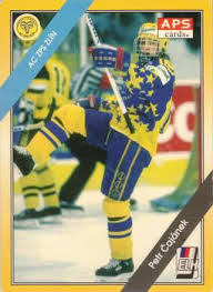 Louis blues in the eighth round in 253rd place, but did not go to north america until 2002. Petr Cajanek Gallery Trading Card Database