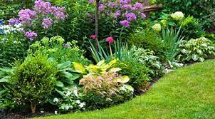 Check spelling or type a new query. Plantes D Exterieur Fleurs Bambous Rosiers Truffaut