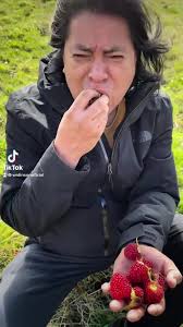 El Tiempo Vuela…, https://youtu.be/OWAjXKeR7o0