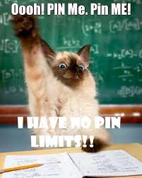 I Have No Pin Limits Funny Animal Quotes Funny Cat Memes Funny Animals
