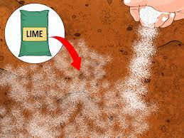 Check spelling or type a new query. How To Acidify Soil 14 Steps With Pictures Wikihow