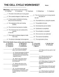Cell Division And Mitosis Worksheet Answer Key Or The Cell Cycle Worksheet Fresh 73 Best Biology Cell Divisi Biology Worksheet Biology Lessons Teaching Biology