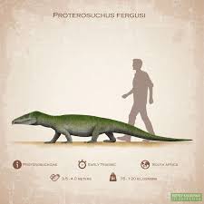 Image result for Proterosuchus