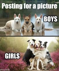 Hahaha Funny Animal Jokes Animal Jokes Funny Animal Memes
