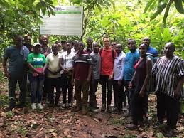 We have an acre clear where the house is. Progressing The Dialogue On Tree Registration In Cocoa Farms In Ghana Idh The Sustainable Trade Initiative