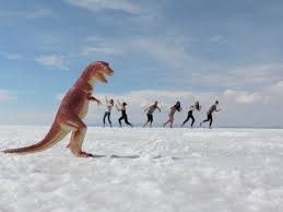 Stretching more than 40,000 … The Salt Flats Bolivia With The Toad Review By Nicolle White Tourist Attractions Activities News South America Green Toad Bus