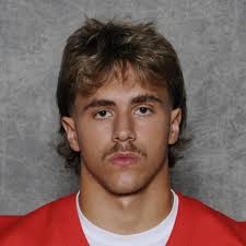 Dominick Rosini's High School Bio