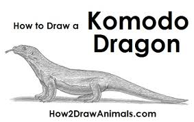 How To Draw A Komodo Dragon Visit www.how2drawanimals.com or my channel for more animal drawing tutorials and don't forget to pause the video after.