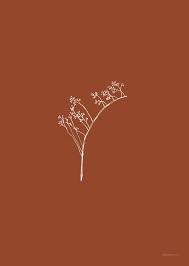 Flowers Rosehip Color Art Wallpaper Aesthetic Wallpapers Minimalist Wallpaper