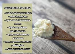 Que Es El Kefir Y Sus Beneficios Para La Salud Dieta Paleo Kefir Beneficios Kefir Alimentos Saludables