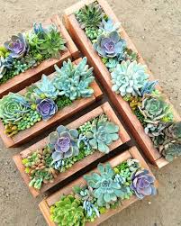 Creative Indoor And Outdoor Succulent Garden Ideas 2017 Succulent Garden Diy Diy Succulents Centerpiece Succulents