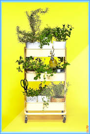 Balkongartenfurgarten Balkongartenideas Balkongarten The Ikea R Sk Sifali Bitki Bahcesi Bitki Saksi