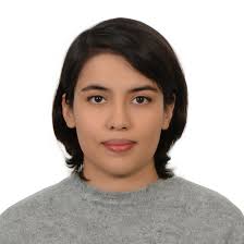 Welcome to Seven New PULSE Lab Students: Mahban, Manik, Gareth, Nethra,  Junhao, Nidhi, and Neil