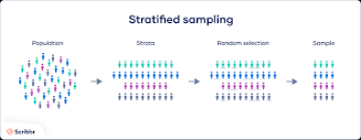 Stratified Sampling | Definition, Guide & Examples