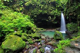 What is dominica island known for? Top 6 Kreuzfahrt Ausfluge In Roseau Dominica Ab 25 Meine Landausfluge