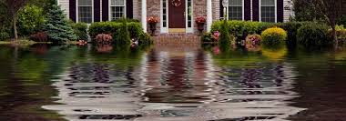 Maybe you would like to learn more about one of these? 7 Steps To Take After Water Damage To Your House Checklist