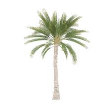 Palm Tree 3d Model Ad Palm Tree Model Palm Trees Tree 3d Model