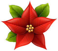 Christmas Poinsettia Png Clip Art Image Christmas Drawing Christmas Clipart Christmas Poinsettia